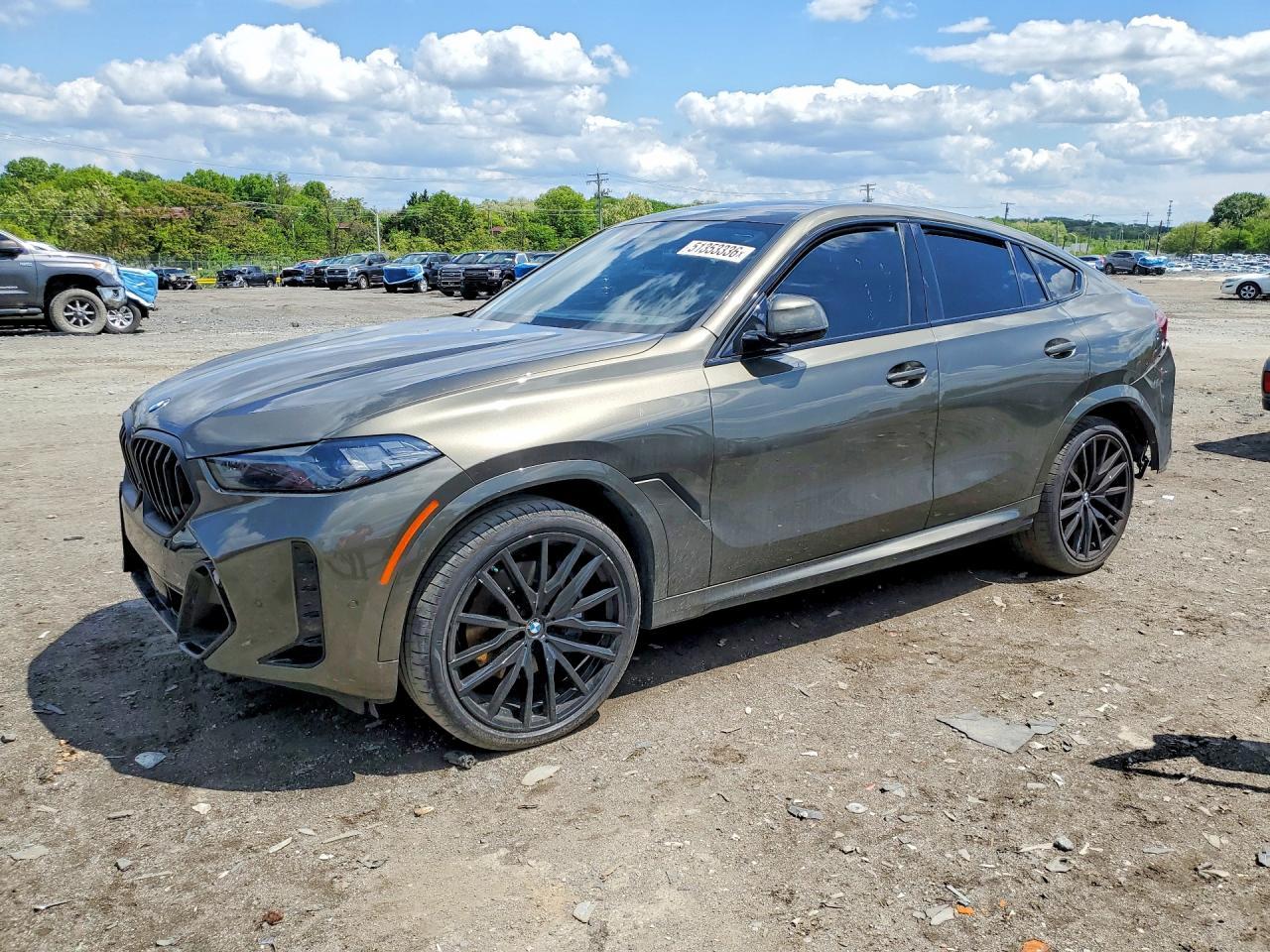 2024 BMW X6