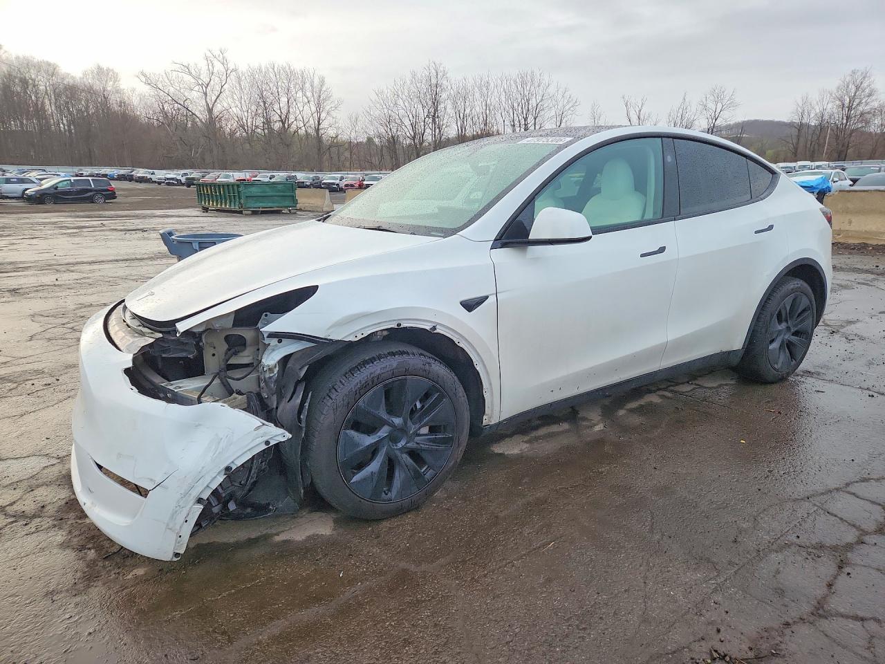 2025 TESLA MODEL Y