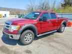 2013 FORD F-150 Lightning