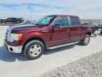 2010 FORD F-150 Lightning