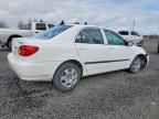 2003 Toyt Corolla