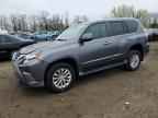 2017 LEXUS GX 460