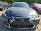 2023 LEXUS ES 350