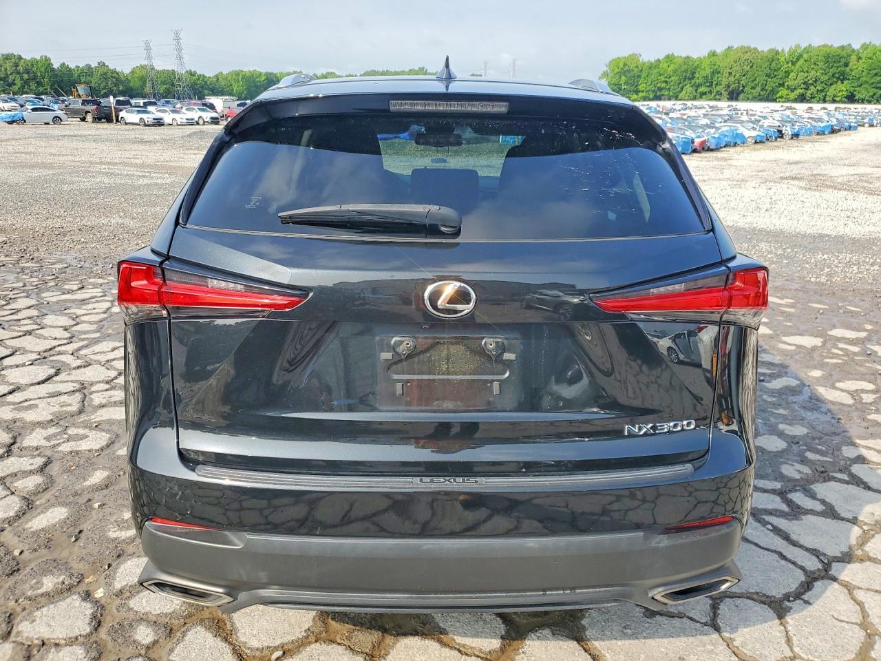 2019 LEXUS NX 300