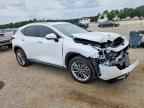 2026 LEXUS NX 350H