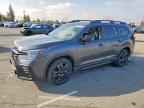 2024 SUBARU Ascent