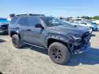 2025 TOYOTA 4Runner