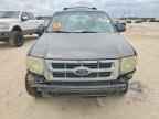 2009 FORD ESCAPE