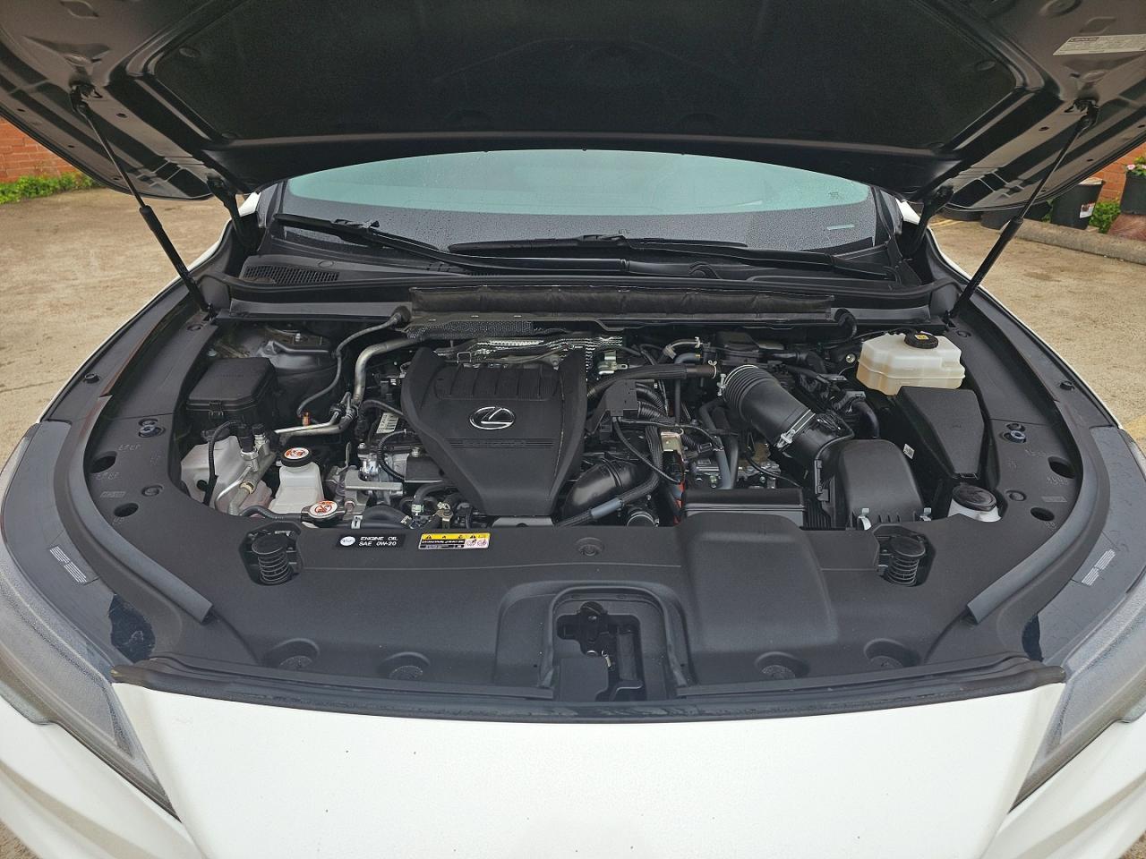 2024 LEXUS RX 500H