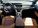 2024 CADILLAC XT5