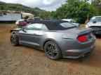 2023 FORD MUSTANG