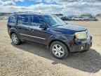 2009 HONDA PILOT
