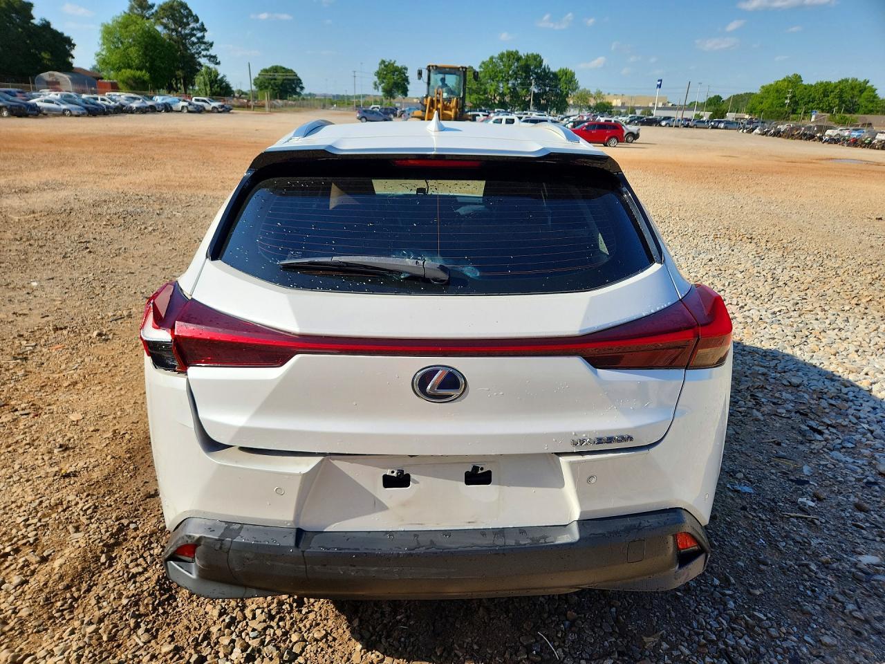 2019 LEXUS UX 250H