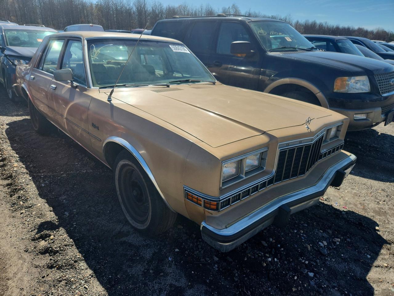 1983 DODGE Diplomat