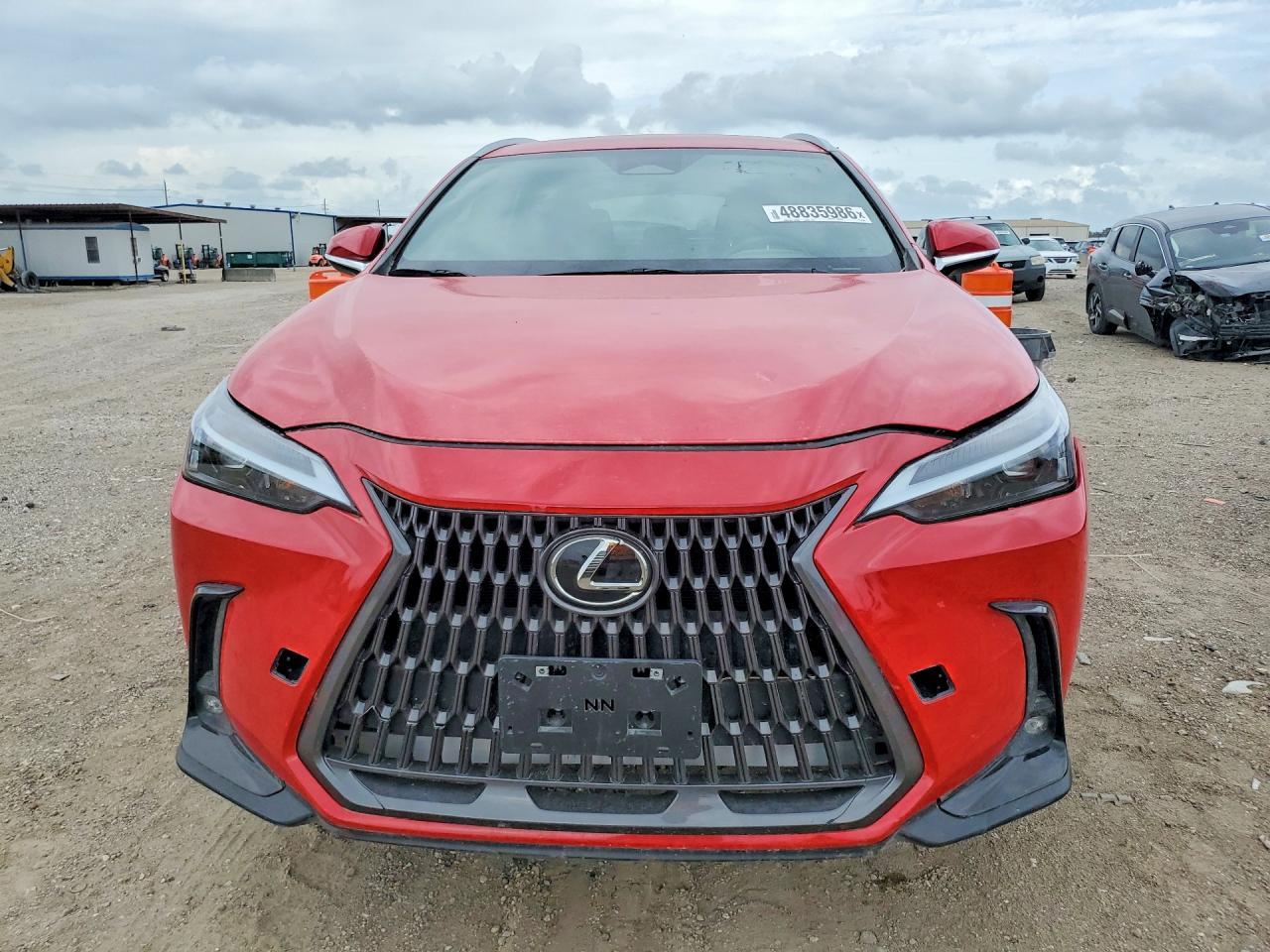 2024 LEXUS NX 250
