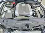2024 LEXUS IS 350