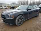 2014 DODGE CHARGER