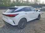 2024 LEXUS RX 350