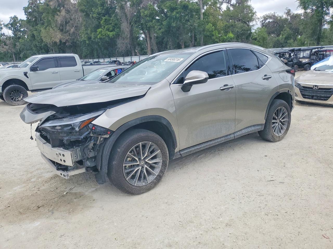 2024 LEXUS NX 350