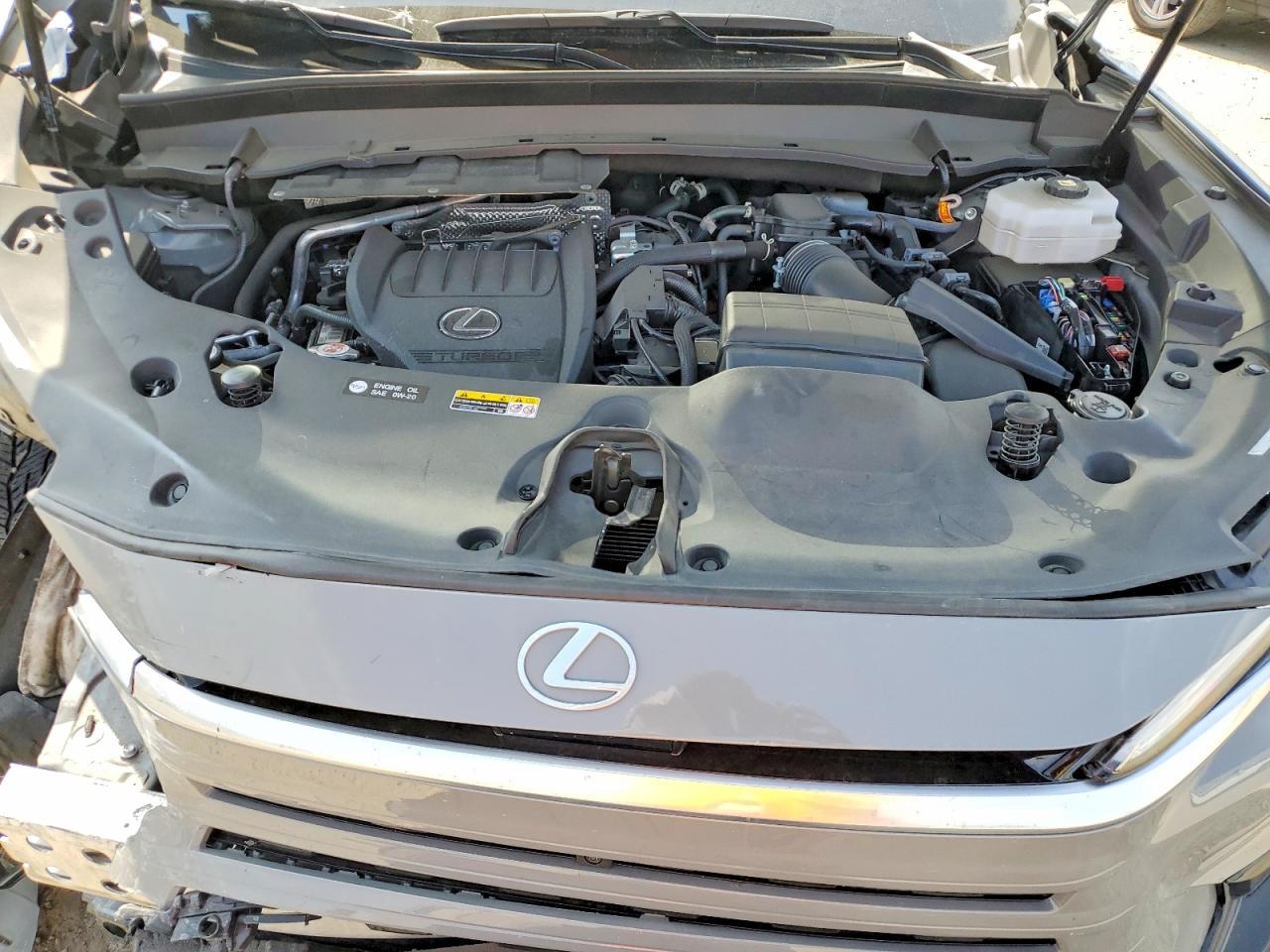 2024 LEXUS TX 500H