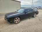 2013 DODGE Challenger