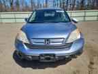 2007 HONDA CR-V