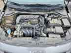 2023 KIA RIO