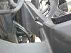 2025 CF MOTO 300ss