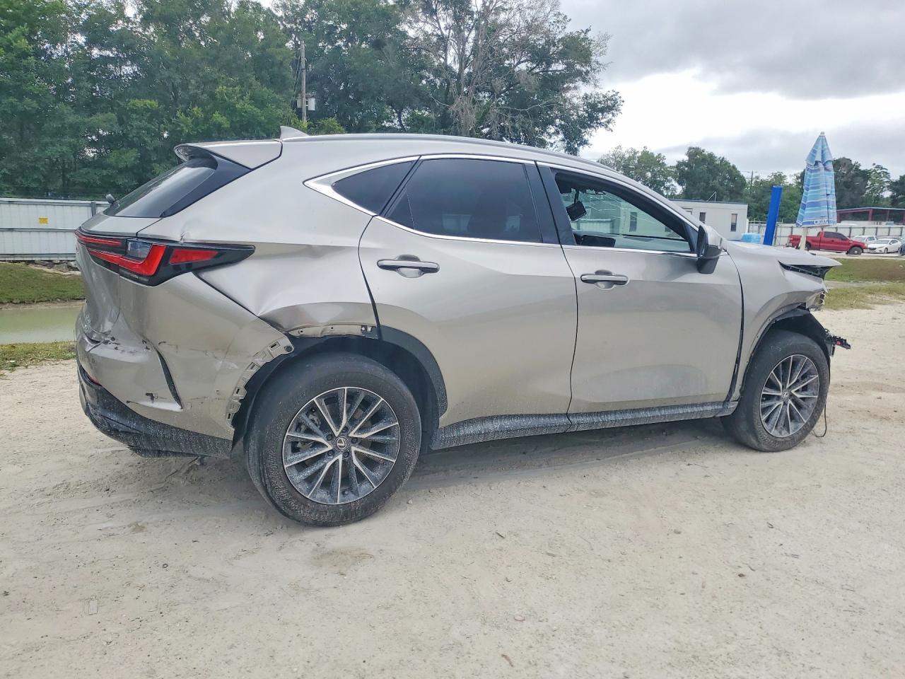 2024 LEXUS NX 350