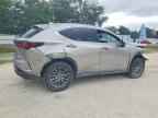 2024 LEXUS NX 350