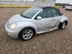 2005 VOLKSWAGEN Beetle