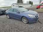 2013 CHEVROLET MALIBU