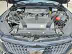 2024 CADILLAC CT4