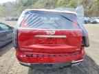 2025 CADILLAC ESCALADE