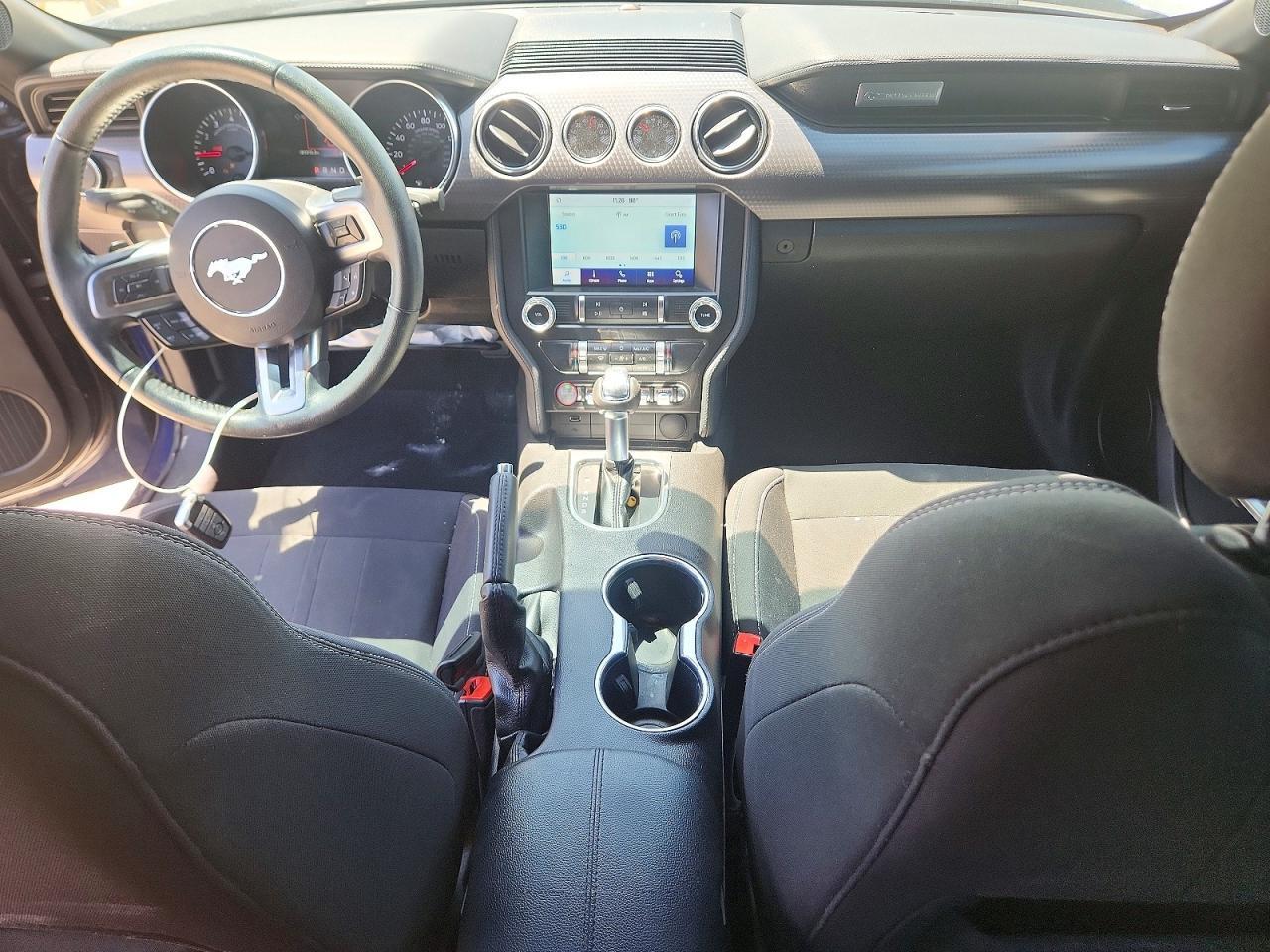 2019 FORD MUSTANG