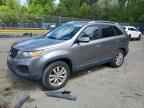 2011 KIA SORENTO