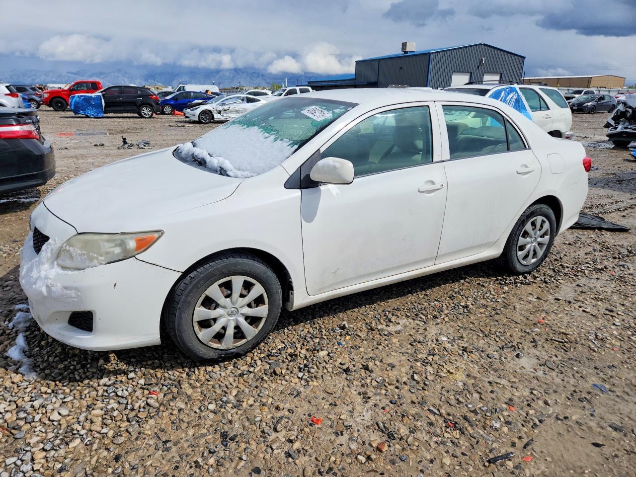 2009 TOYOTA COROLLA