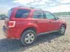 2010 FORD ESCAPE
