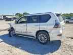 2019 LEXUS GX 460