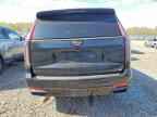 2023 CADILLAC Escalade ESV