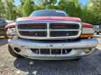 2004 DODGE Dakota