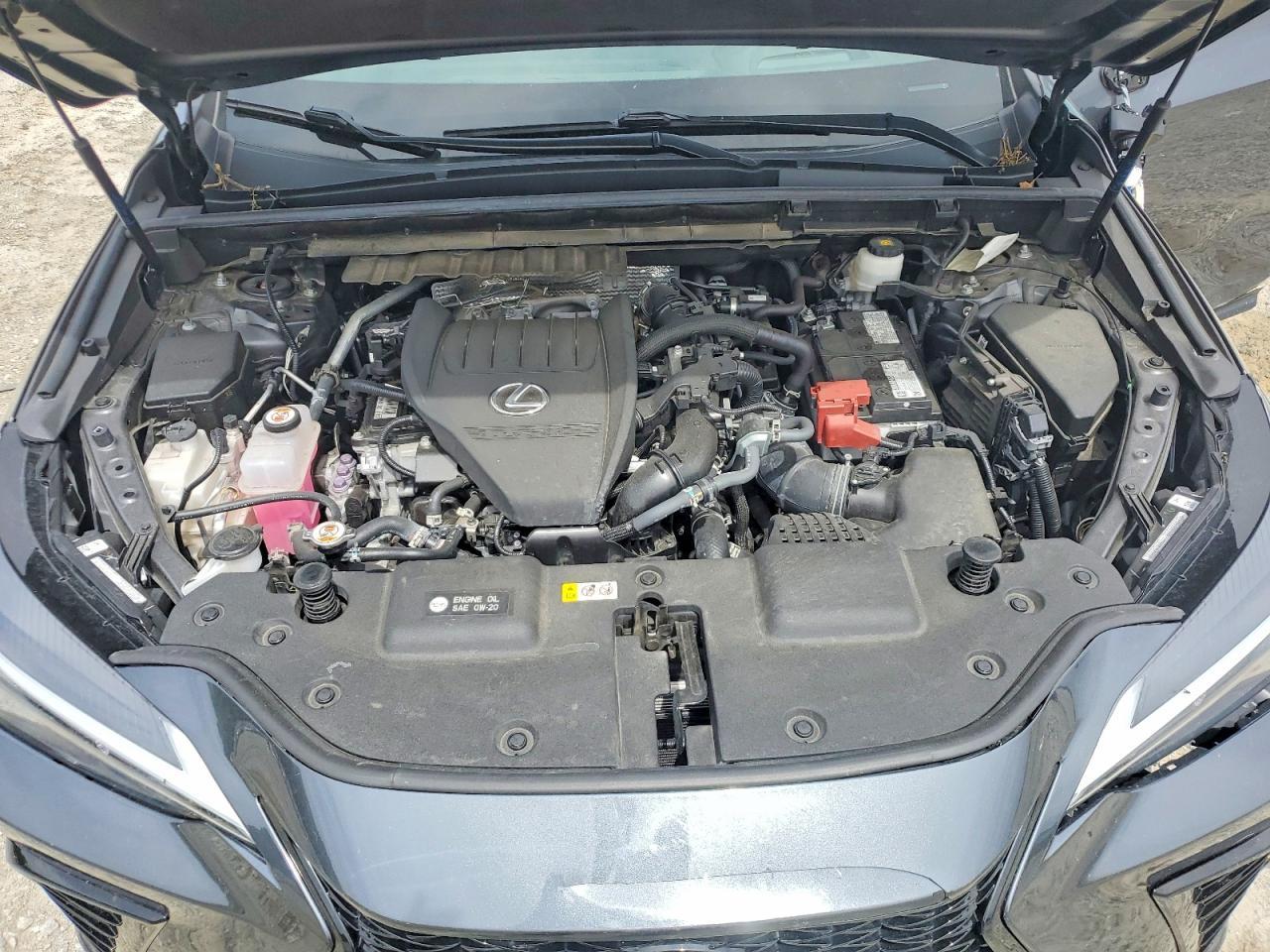 2024 LEXUS NX 350