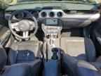 2023 FORD MUSTANG