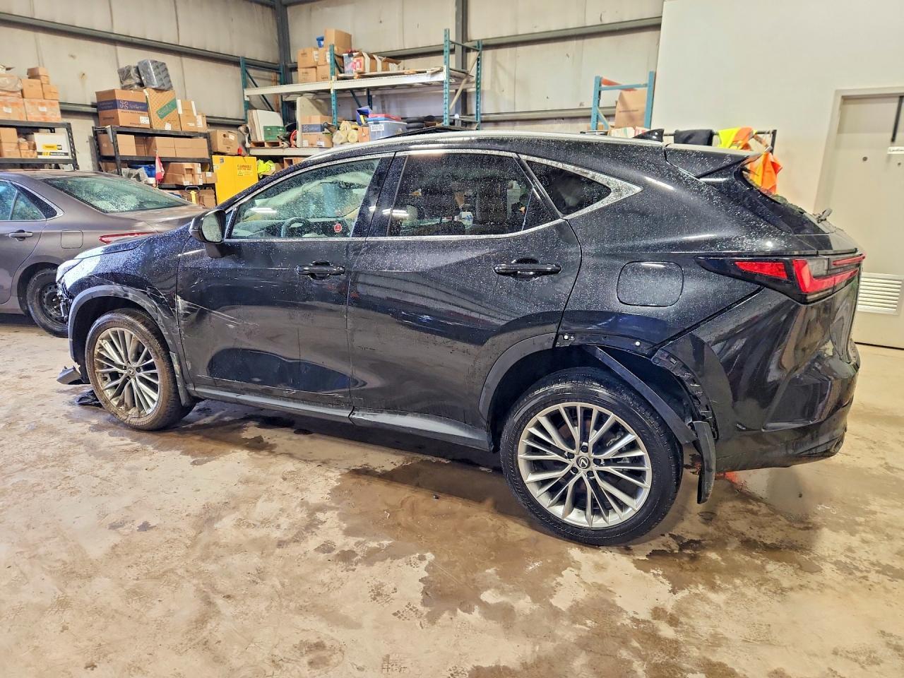 2025 LEXUS NX 350