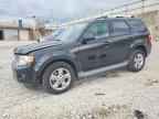 2011 FORD ESCAPE