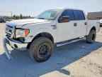 2013 FORD F-150 Lightning