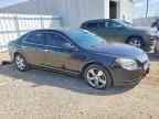 2010 CHEVROLET MALIBU