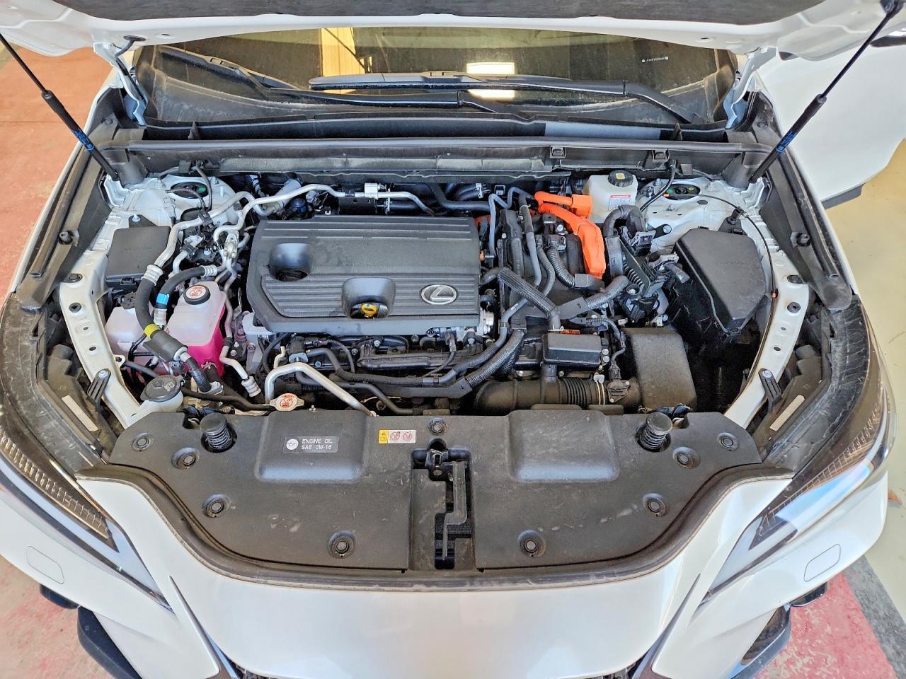 2025 LEXUS Nx