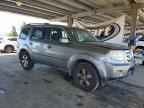 2009 HONDA PILOT