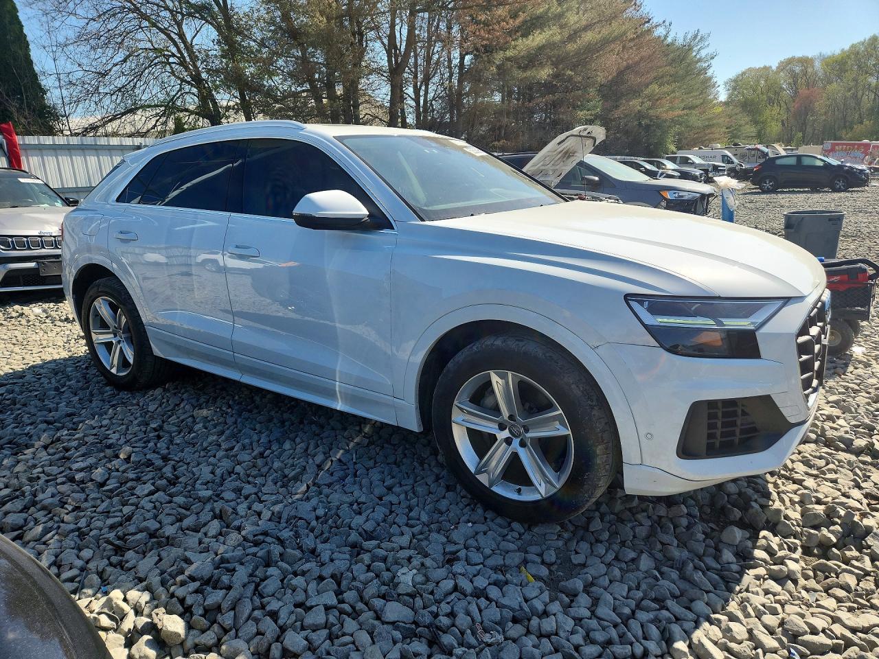 2019 AUDI Q8